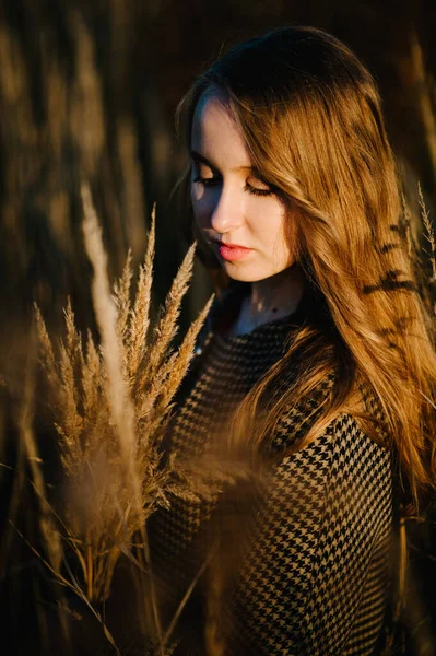 Portret Pięknej Dziewczyny Bukietem Suszonej Trawy Jesienią Wysokiej Długiej Trawie — Zdjęcie stockowe