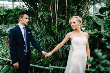 Yeşilliğin arka planında damat ve gelinin portresi olacak. Botanik yeşil bahçesinde düğün töreni. Yeni evliler.