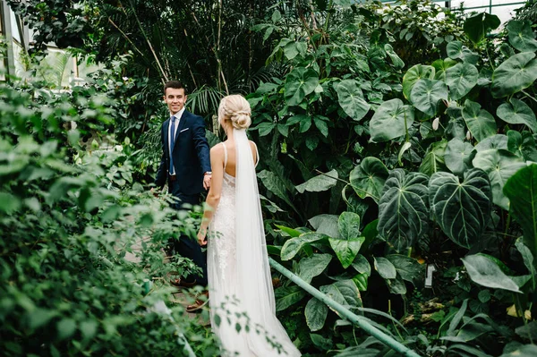 Gelin ve damadın portresi yeşilliğin arka planına geri gidiyor. Botanik yeşil bahçesinde düğün töreni. Yeni evliler.
