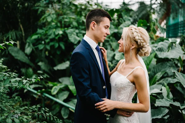 The bride looks at the groom. The groom in wedding suit and the bride in dress are standing and hugging in the Botanical green garden full of greenery. Wedding ceremony.