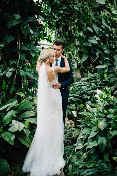 The groom in wedding suit and the bride in dress are standing and hugging in the Botanical green garden full of greenery. Wedding ceremony.