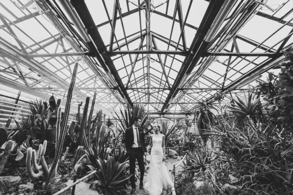 Retrato Noivo Noiva Indo Fundo Jardim Botânico Cerimônia Casamento Perto — Fotografia de Stock