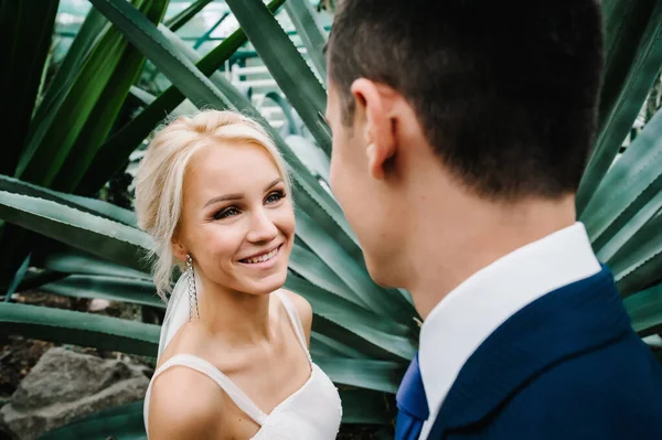 Die Braut Blickt Den Bräutigam Botanischen Garten Voller Grün Trauung — Stockfoto