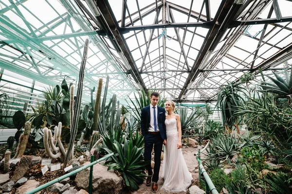 Bahçede işleri yoluna koyan çekici yeni evliler. Açık havada. Romantik düğün anı.