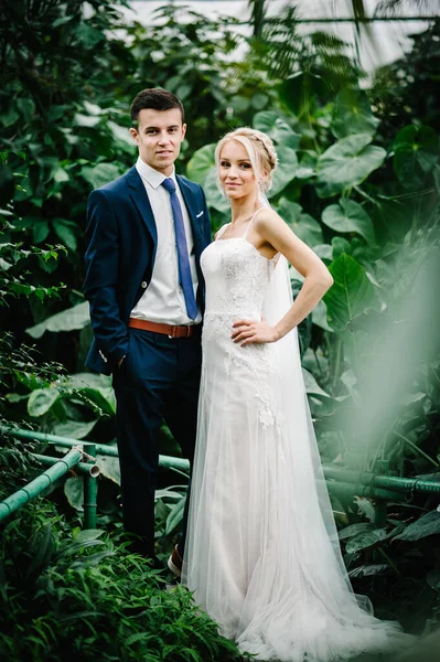 Noivo Terno Casamento Noiva Vestido Estão Jardim Verde Botânico Cheio — Fotografia de Stock