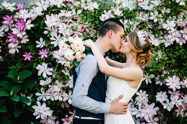 Taçlı ve damatlı şakayık desenli şık bir gelin. Koca kadına sarılır ve onu öper. Kapatın. Clematis. Çiçekler nazikçe pembe, mor ve yeşil yapraklardır. Çalılar, ağaçlar.