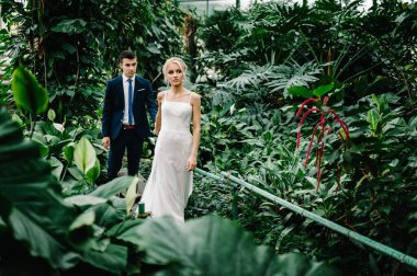 Yeşilliğin arka planında damat ve gelinin portresi olacak. Botanik yeşil bahçesinde düğün töreni. Yeni evliler.