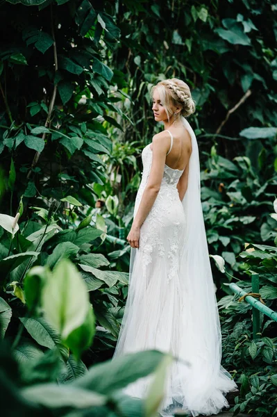 Woman back stand in the Botanical green garden full of greenery. Wedding ceremony. Portrait attractive blonde bride standing in a wedding dress on the background of greenery.