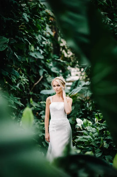 Woman stand in the Botanical green garden full of greenery. Wedding ceremony. Portrait attractive blonde bride standing in a wedding dress on the background of greenery.