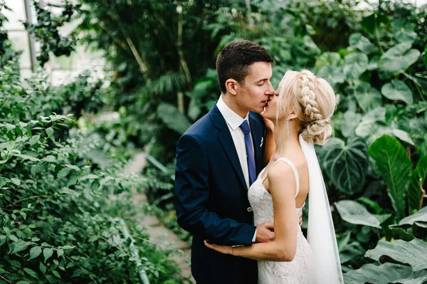 Recém Casados Estão Beijando Jardim Verde Botânico Cheio Vegetação Cerimônia — Fotografia de Stock