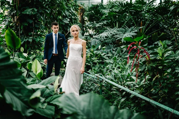 Yeşilliğin arka planında damat ve gelinin portresi olacak. Botanik yeşil bahçesinde düğün töreni. Yeni evliler.