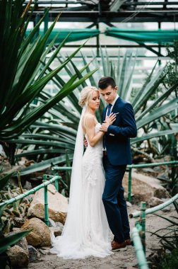 Gelinlik giymiş damat botanik bahçesinde yeşillik içinde duruyor..