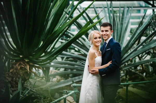 Portrait the groom and the bride on the background of greenery. Wedding ceremony in Botanical green garden.