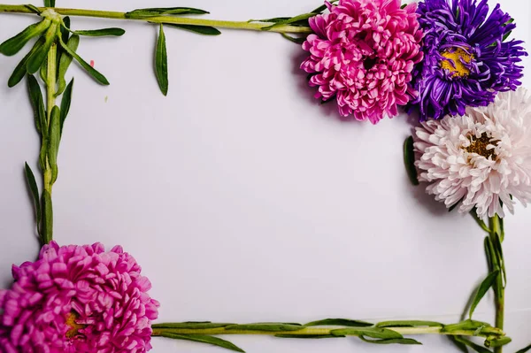 Bloemen Samenstelling Paarse Paarse Bloemen Witte Achtergrond Voorjaar Pasen Concept — Stockfoto