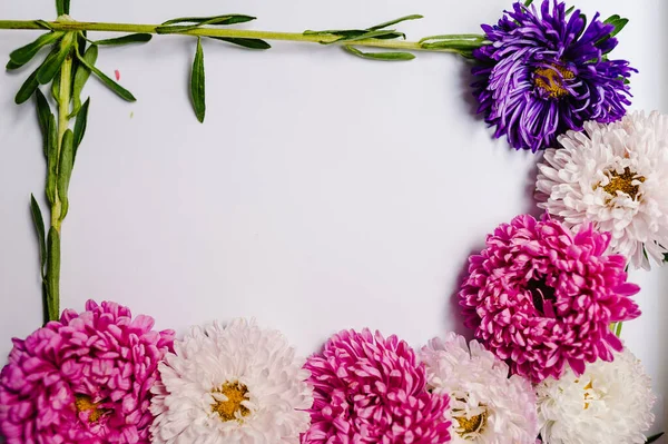 Bloemen Samenstelling Frame Gemaakt Van Bloemen Pastelachtergrond Valentijnsdag Moederdag Vrouwendag — Stockfoto