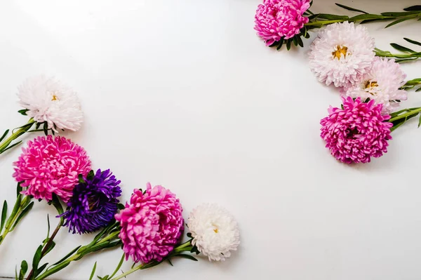 Квіткова Композиція Фіолетові Фіолетові Квіти Білому Тлі Весна Великодня Концепція — стокове фото