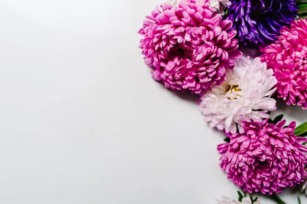 Квіткова Композиція Фіолетові Фіолетові Квіти Білому Тлі Каркас Квітів День — стокове фото