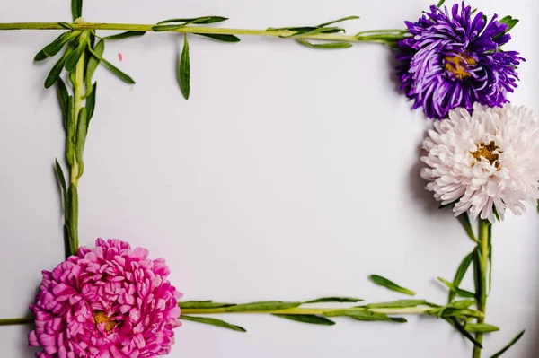 Composición Flores Flores Violetas Moradas Sobre Fondo Blanco Primavera Concepto — Foto de Stock