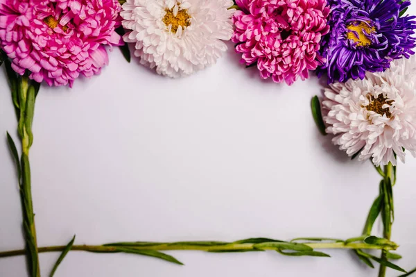 Çiçek Kompozisyonu Pastel Arka Planda Çiçeklerden Yapılmış Bir Çerçeve Sevgililer — Stok fotoğraf