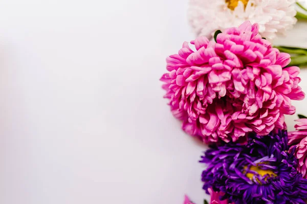 Composición Flores Flores Violetas Moradas Sobre Fondo Blanco Marco Hecho — Foto de Stock