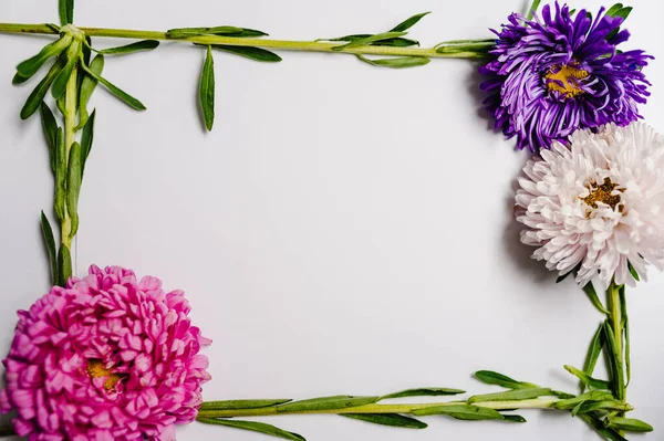 Bloemen Samenstelling Frame Gemaakt Van Bloemen Pastelachtergrond Valentijnsdag Moederdag Vrouwendag — Stockfoto