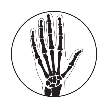 İnsan eli iskelet anatomi vektör çizim