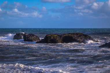 Dyrholaey - 04 Mayıs 2018: Cape Dyrholaey, İzlanda'daki kıyı görünümünü