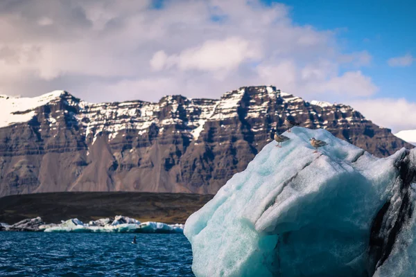 Jokulsarlon Maggio 2018 Laguna Iceberg Jokulsarlon Islanda — Foto Stock