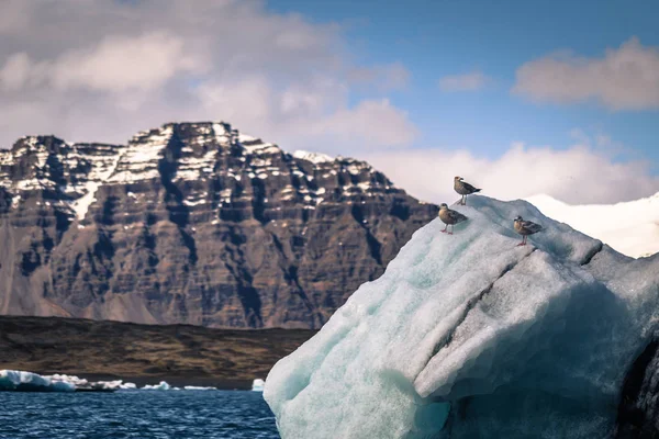 Jokulsarlon Mai 2018 Eisberg Lagune Von Jokulsarlon Island — Stockfoto