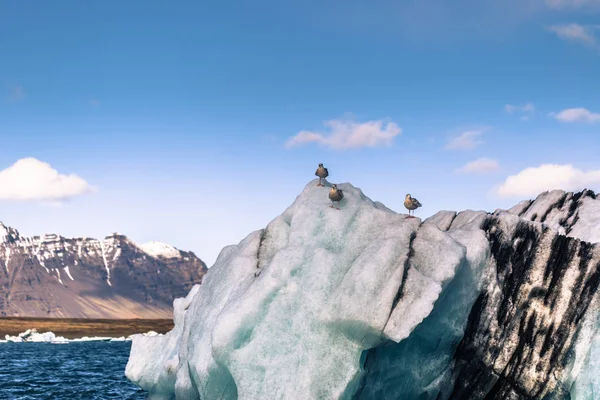 Jokulsarlon Mai 2018 Eisberg Lagune Von Jokulsarlon Island — Stockfoto