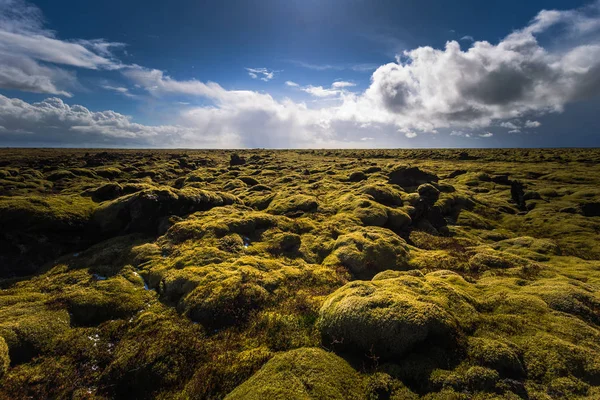 Islandské Divočině Května 2018 Divoká Sopečná Krajina Islandu — Stock fotografie