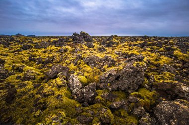Blue Lagoon - 09 Mayıs 2018: Blue Lagoon termal su Spa'da İzlanda volkanik arazi