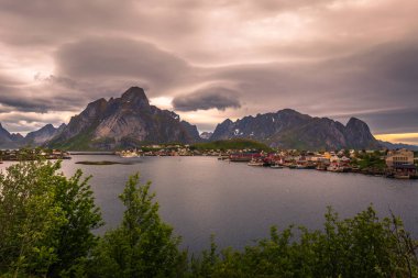 Panoramik şehir Reine Lofoten Adaları, Norveç
