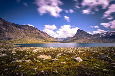 Vahşi dağ manzarası Jotunheimen Milli Parkı, Norveç
