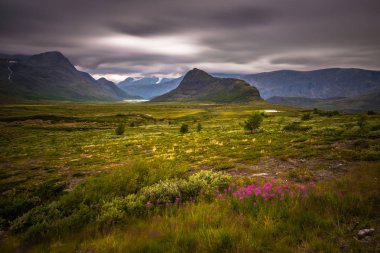 Jotunheimen Milli Parkı - 30 Temmuz 2018: tabiat manzarası Jotunheimen Milli Parkı, Norveç
