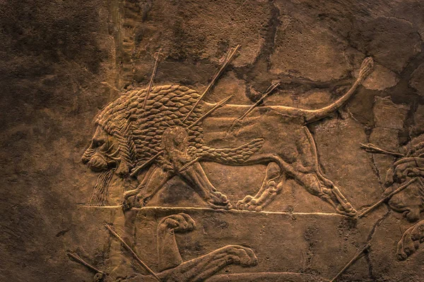 Лондон Серпня 2018 Лев Полювання Представлені Ассірійських Мистецтва Музеї Brtitish — стокове фото