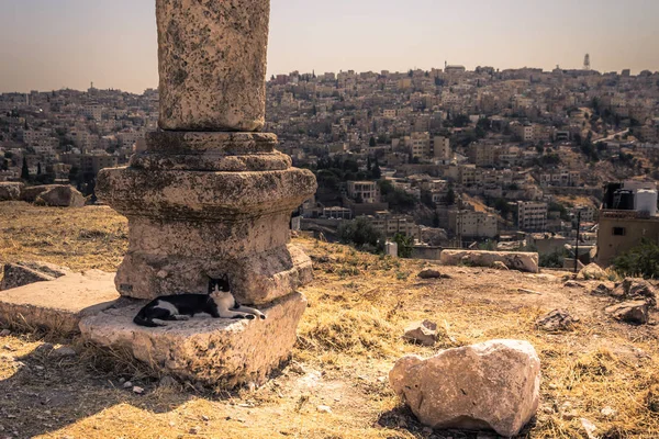 Амман Жовтня 2018 Вид Центральну Амман Точки Зору Цитаделі Йорданія — стокове фото