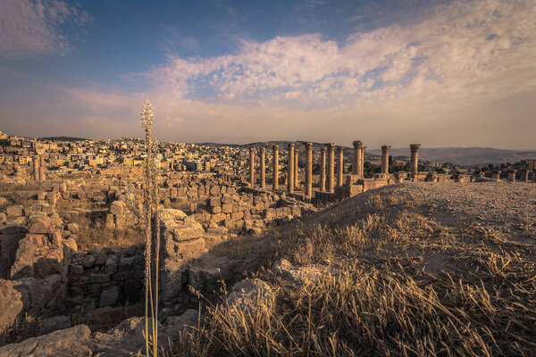 Джераш - 29 сентября 2018 года: Древнеримские руины Джераша, Иордания
