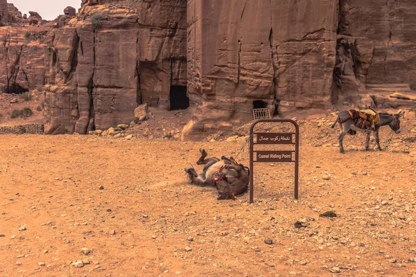 Petra Oktober 2018 Ruinen Der Antiken Stadt Petra Weltwunder Jordanien — Stockfoto