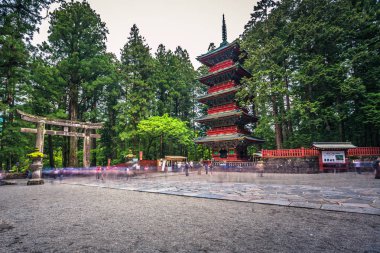 Nikko - 22 Mayıs 2019: Japonya'nın Nikko ilçesindeki Toshogu tapınağıpagoda