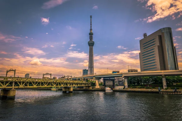 Tokio-19 maja 2019: Wieża Tokyo Skytree w Asakusa, Tokio, wspólny plan — Zdjęcie stockowe