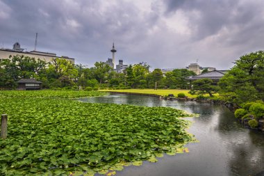 Kyoto - 28 Mayıs 2019: Ky'deki Shosei-en'in geleneksel bahçesi