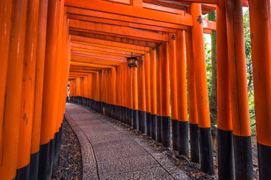 Kyoto - 28 Mayıs 2019: Fushimi Inari Shinto sh'nin Torii kapıları