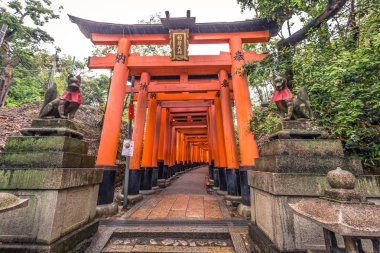Kyoto - 28 Mayıs 2019: Fushimi Inari Shinto sh'nin Torii kapıları