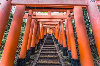 Kyoto - 28 Mayıs 2019: Fushimi Inari Shinto sh'nin Torii kapıları
