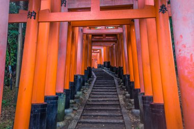 Kyoto - 28 Mayıs 2019: Fushimi Inari Shinto sh'nin Torii kapıları