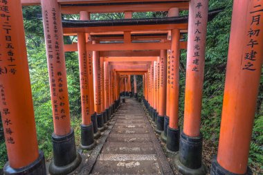 Kyoto - 28 Mayıs 2019: Fushimi Inari Shinto sh'nin Torii kapıları
