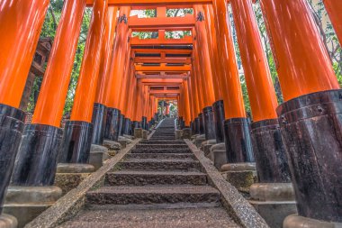 Kyoto - 28 Mayıs 2019: Fushimi Inari Shinto sh'nin Torii kapıları