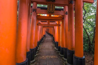 Kyoto - 28 Mayıs 2019: Fushimi Inari Shinto sh'nin Torii kapıları