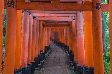 Kyoto - 28 Mayıs 2019: Fushimi Inari Shinto sh'nin Torii kapıları